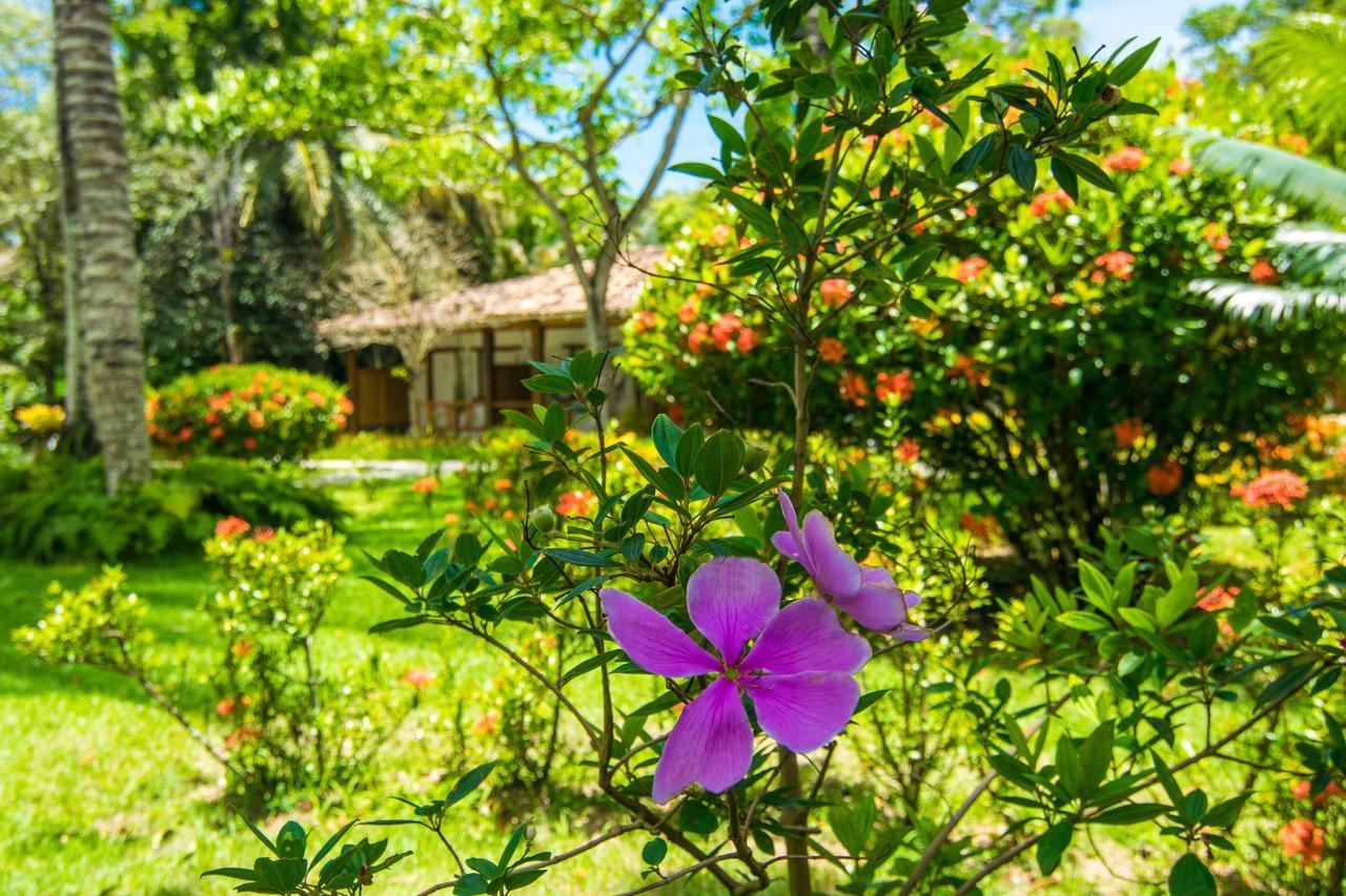 Manaca Pousada Parque Hotel Porto Seguro Exterior photo